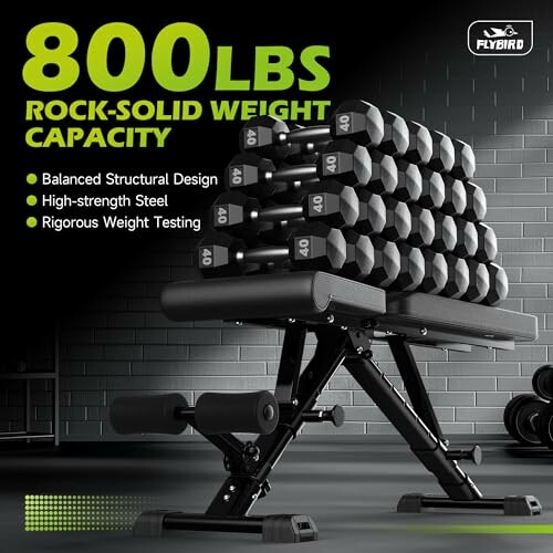 Adjustable weight bench with stacked dumbbells, showcasing 800 lbs capacity.